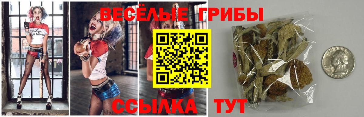 Псилоцибиновые грибы ЛСД  Вход с VPN  Янаул 